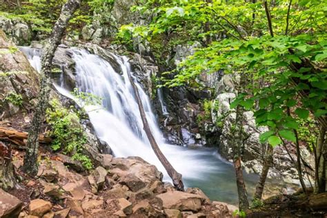 The Best Shenandoah National Park Waterfall Hikes for All Levels ...