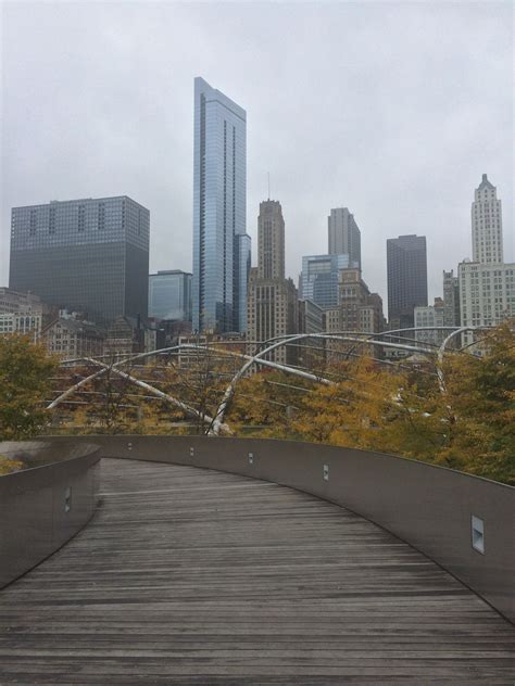 BP Pedestrian Bridge | Pedestrian bridge, New york skyline, Skyline