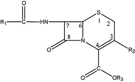 Figure 1. Chemical structure of cephalosporins : Spectroscopic Methods ...