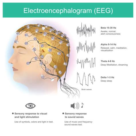 30+ Eeg Electrode Cap Stock Illustrations, Royalty-Free Vector Graphics ...