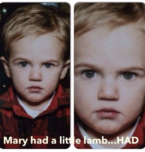 Mary had a little lamb...HAD | Lamb, Humor, Little lamb