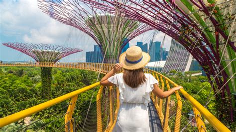 Brave The 72-Foot-High Skywalk At Singapore's Famous Gardens By The Bay ...