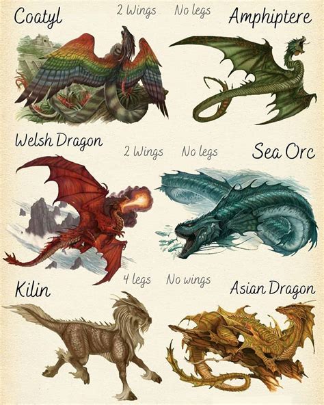 Dragon With 2 Legs And Wings - Draw easy