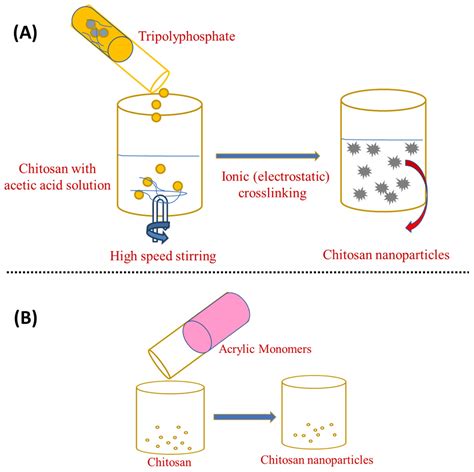 Materials | Free Full-Text | Chitosan Nanoparticles: A Versatile ...