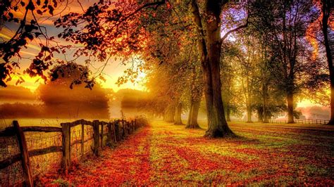 Beautiful Fall Wallpapers For Desktop