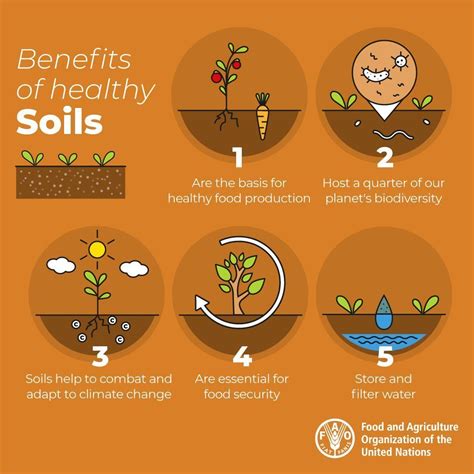 UN Biodiversity on Twitter: "Did you know soil is a living resource ...