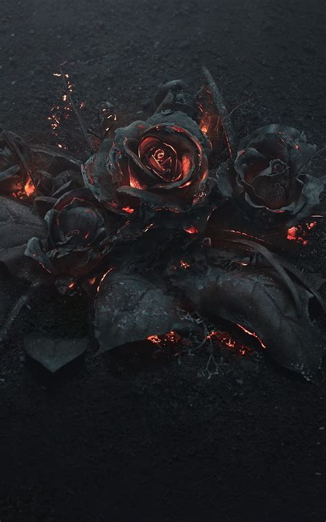 Burning rose, rose, roses, black, fire, burning, dark, horror, love ...