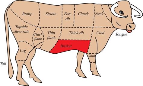 http://masterman535.hubpages.com/hub/Diagram-of-How-to-Butcher-a-Beef ...