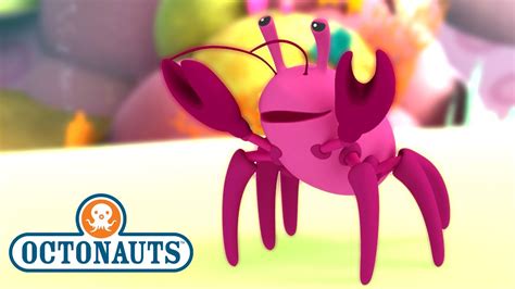 @Octonauts - The Hermit Crab | Full Episode 12 | @KidzukoSony - YouTube