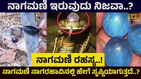 ದೇವರ ಕೋಣೆಯಲ್ಲಿ ನಾಗಮಣಿ ಇಟ್ಟರೆ : ಲಕ್ಷ್ಮೀ ದೇವಿ ಹುಡುಕಿಕೊಂಡು ಬರುತ್ತಾರೆ ...