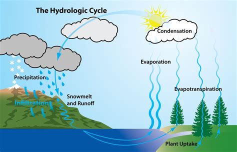 Water Cycle | Water Cycle (pdf 161 KB) | It's not just a job ...