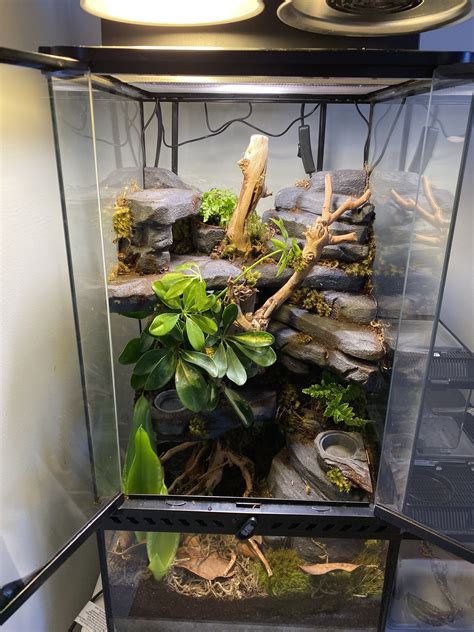 Very First Vivarium Build! [Pic/ explanation heavy] | Dendroboard