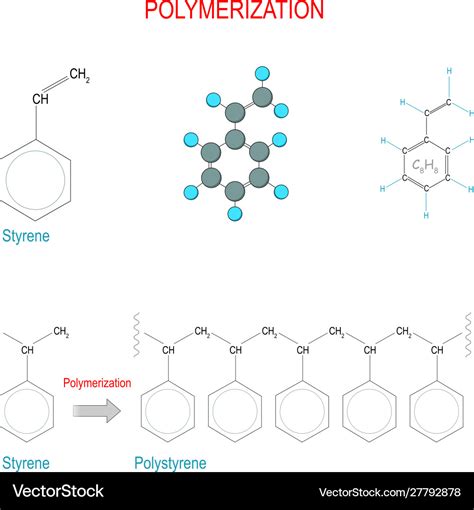 Polymerization reaction styrene and polystyrene Vector Image