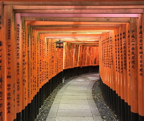 Visiting the Fushimi Inari shrine in Kyoto | Inari, Shrine, Shintoism