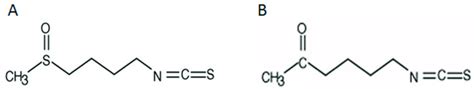 Structural formulae of isothiocyanates: (A) sulforaphane; (B ...