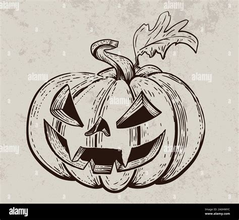 Vector Halloween pumpkin. Hand drawn illustration. Vintage engraving ...