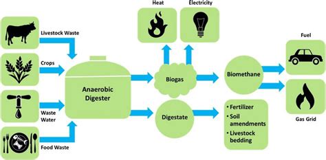 Factsheet / Biogas: omzetting van afval in energie | White Papers | Mex ...