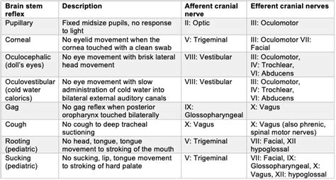 Brain Death or Death by Neurologic Criteria - OpenAnesthesia