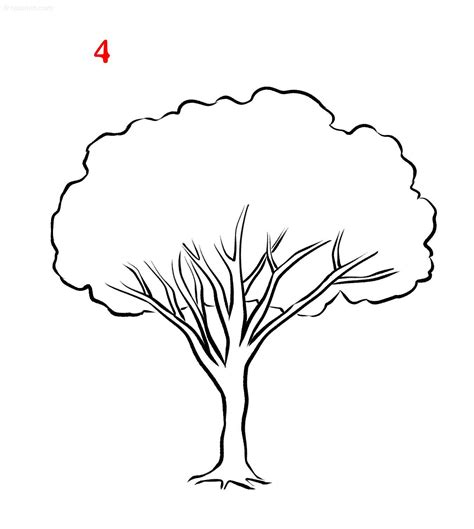 How To Draw A Tree For Beginners