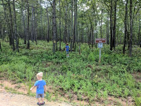 Hiking Burgess Mountain Trail in Oconee National Forest – Nate Shivar