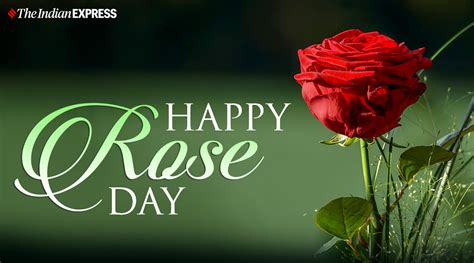 Happy Rose Day 2021: Wishes Images, Quotes, Status, HD Wallpapers, GIF ...