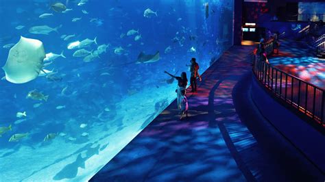 S.E.A. Aquarium Resorts World Sentosa: Tickets & Opening Hours