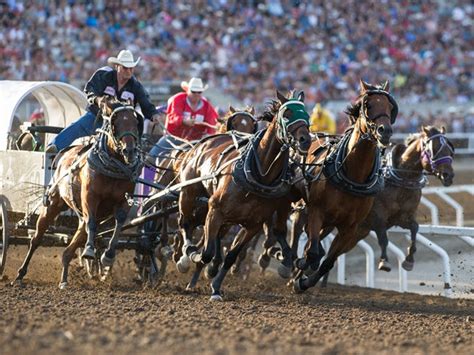 COVID-19: Calgary Stampede cancelled; province bans all large summer ...