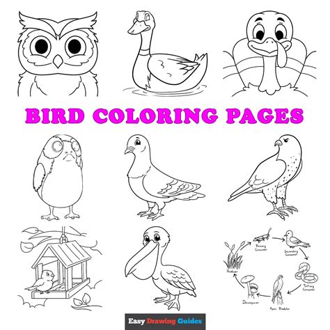 Free Printable Bird Coloring Pages for Kids