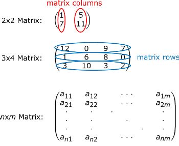 Difference Between a Row & Column Vector - Lesson | Study.com