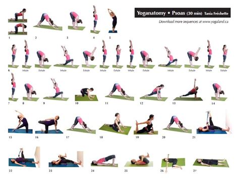 psoas sequence. So need this!! | Back pain | Pinterest | Yoga routine ...