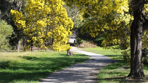 Wattle Park, Attraction, Melbourne, Victoria, Australia