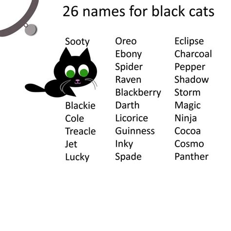 Cat care tips black cat names for your your black cat. | Names for ...