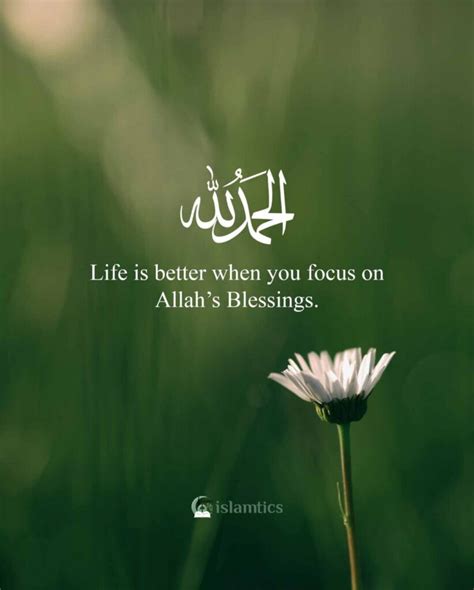 Life is better when you focus on Allah’s Blessings. | islamtics