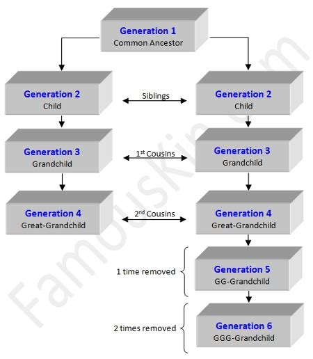 What is Consanguinity?