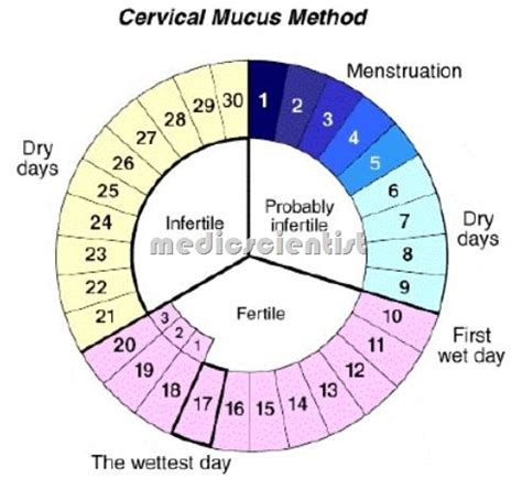 CONTRACEPTIVES NATURAL CONTRACEPTIVES RHYTHM METHOD and CALENDAR METHOD ...