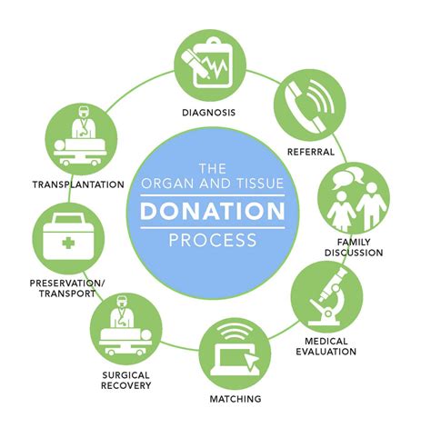 Disadvantages Of Organ Donation at limaitureteblog Blog