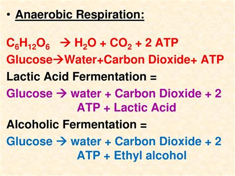 Nice Equation For Lactic Acid Fermentation Ap Physics C Formula Sheet