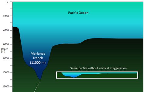 Ocean Profile Diagram