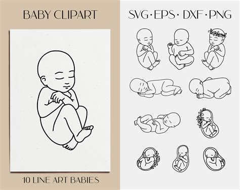 Newborn baby svg clipart. Embryo, fetus. New baby line vector art By ...