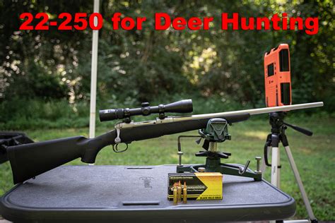 22-250 for Deer Hunting | Ammo Options & More