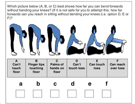 Self-report instrument for assessment of trunk flexion | Download ...