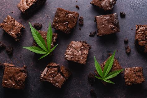 10 Cannabis Recipes to Try Using the SKILLR App — Skillr