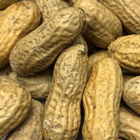 Peanuts | In Shell | Raw | Sold per LB | Year Round