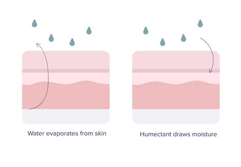 What Do You Know About Protecting Your Moisture Barrier?