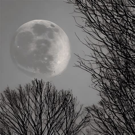 Red Moon Photograph · Creative Fabrica