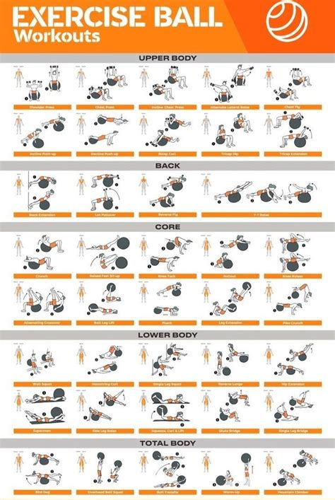 Printable Exercise Ball Workout Chart