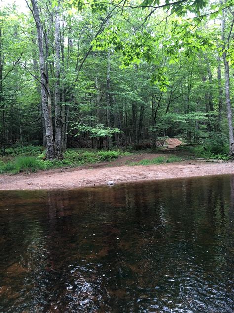 ATV users driving through Atlantic salmon spawning habitat in the ...