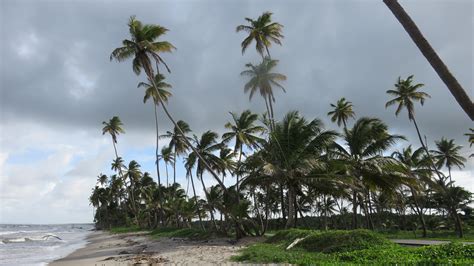 Manzanilla Beach: Destination Trinidad and Tobago | Tours, Holidays ...