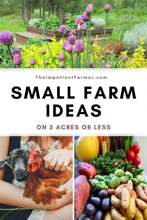 15 Small Farm Ideas - What To Do On 5 Acres Of Land (Or Less)