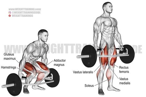 Trap bar deadlift exercise instructions and video | Weight Training Guide